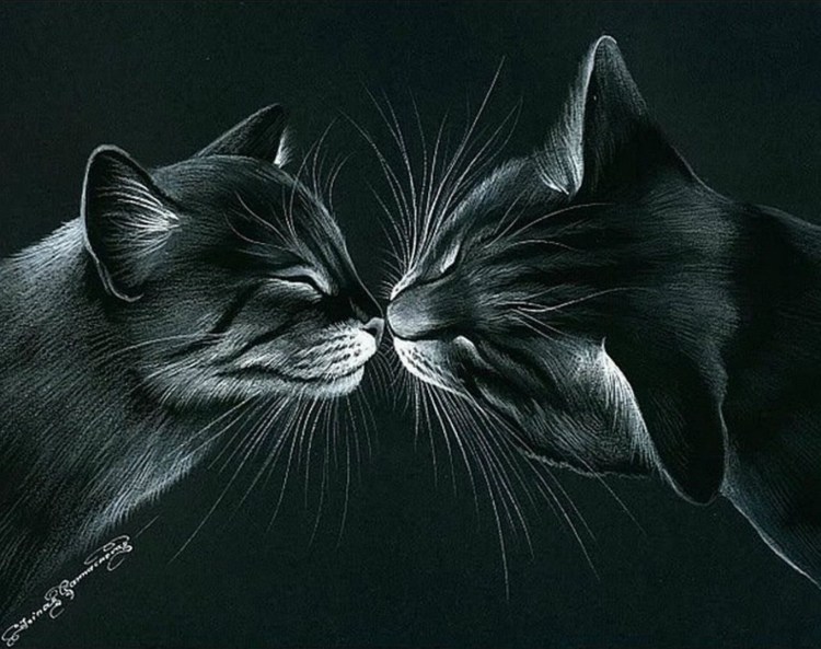 Кошка белая