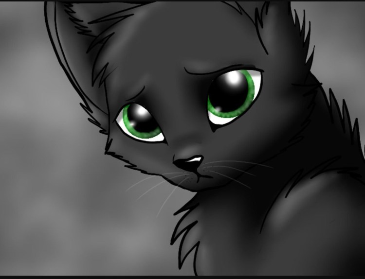 Мультяшные коты