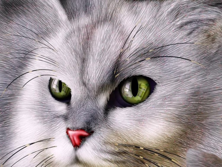 Кот с зелеными глазами