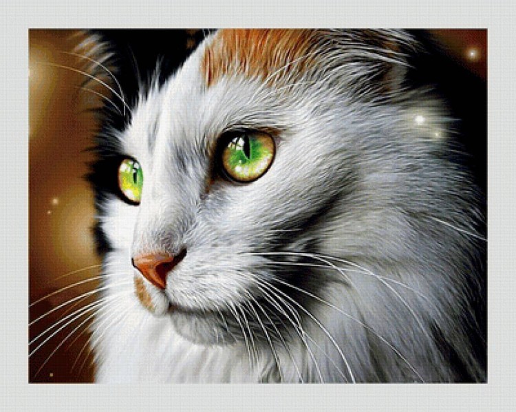 Пантера с голубыми глазами