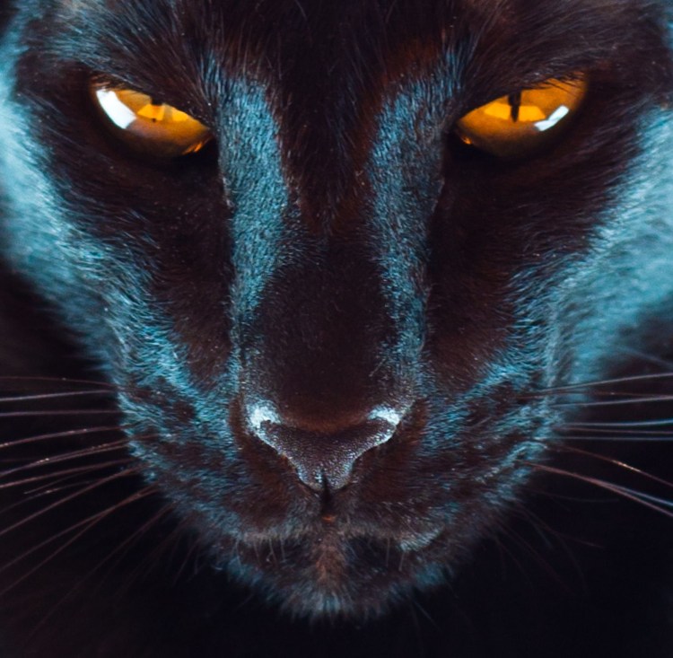 Кошачий глаз сбоку