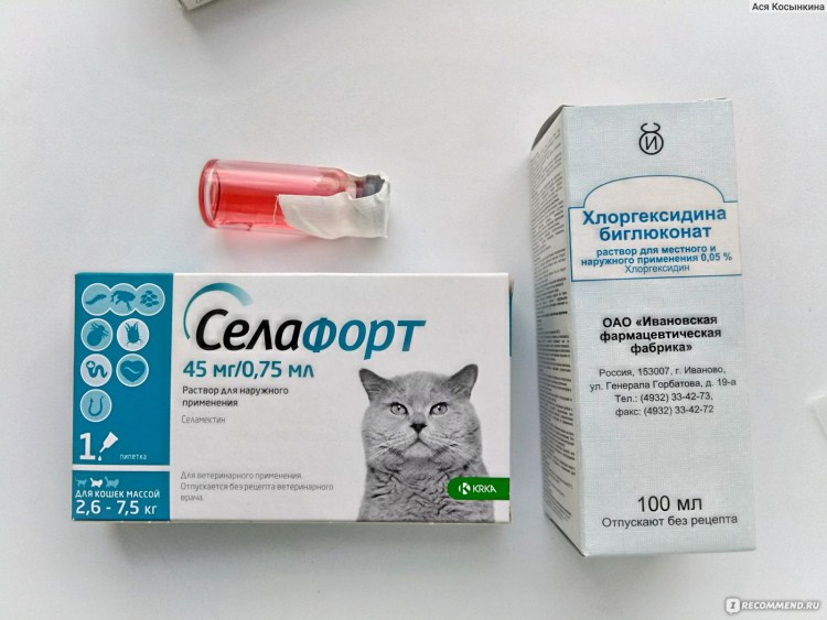 Кальцивироз конъюнктивит