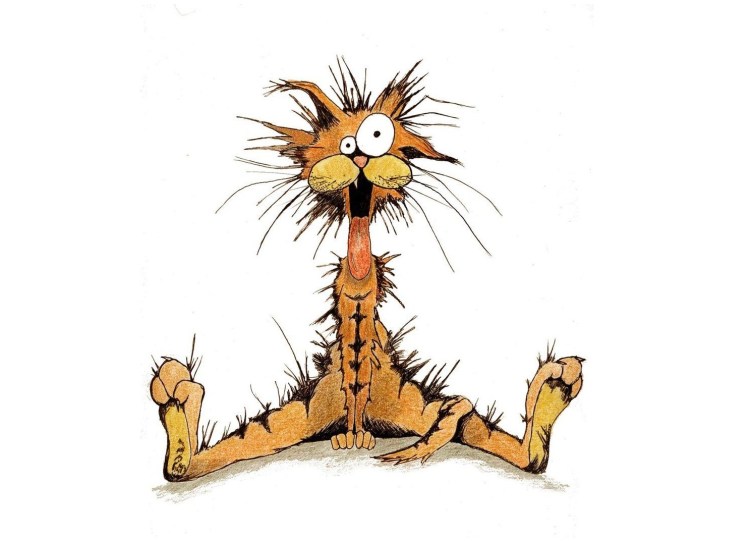 Нервная кошка