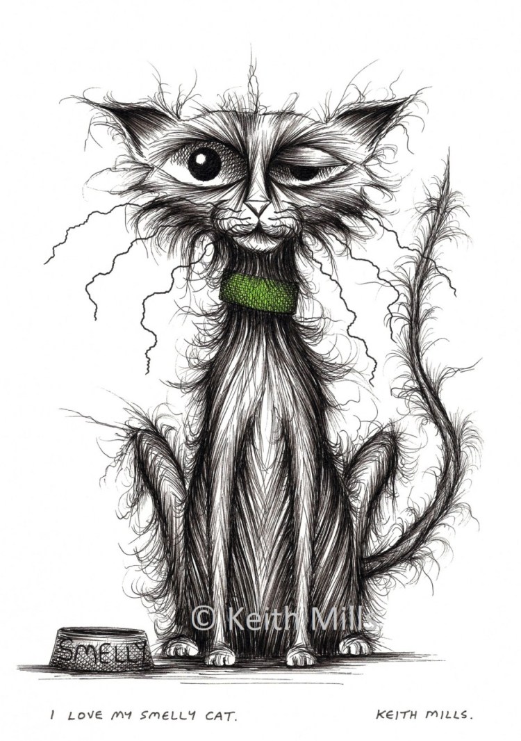 Ободранная кошка