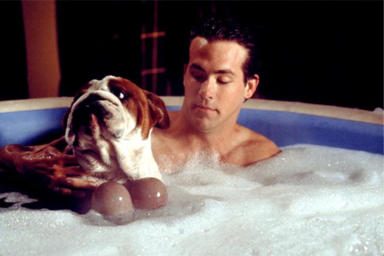 Райан Рейнольдс Король вечеринок