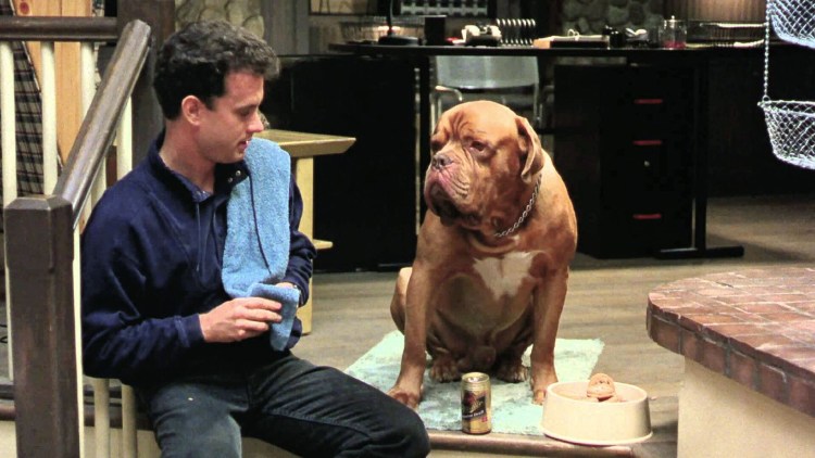 Назад в будущее собака Эйнштейн