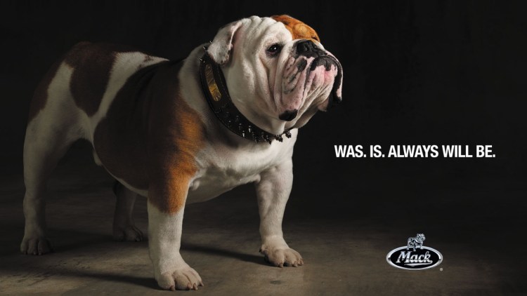 Собака из фильма американский пирог