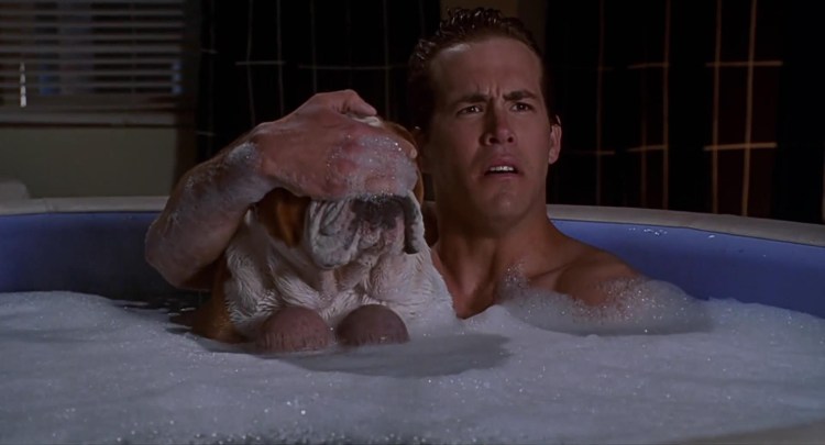 Тернер и Хуч