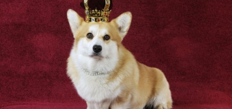 Тёрнер и Хуч фильм 1989