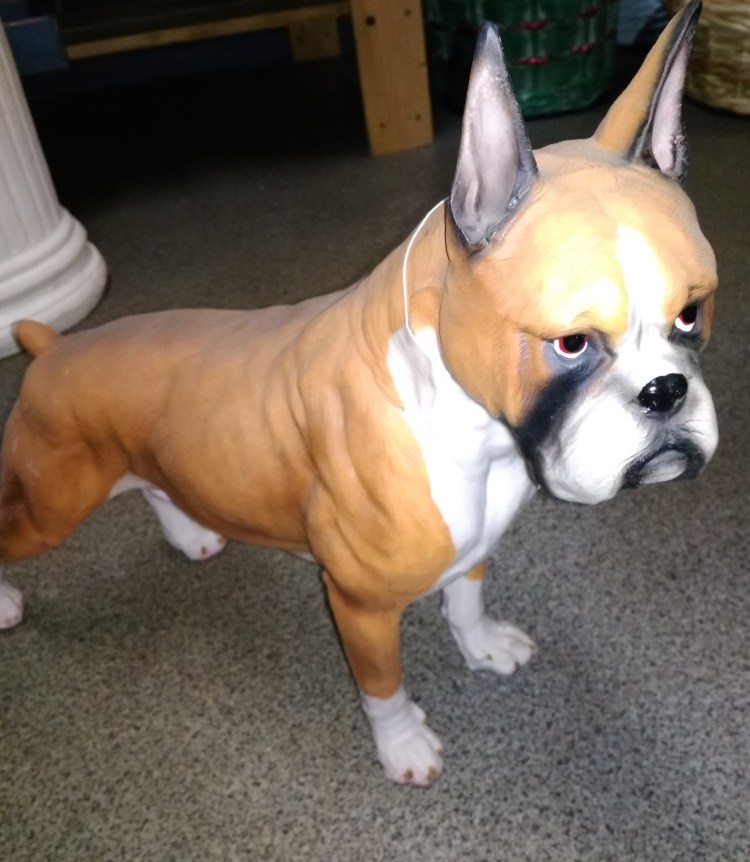 Мини боксер собака