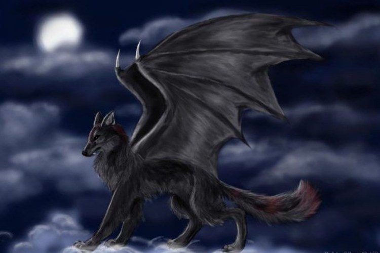 Дракон и волк