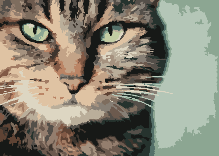 Суровый взгляд кота