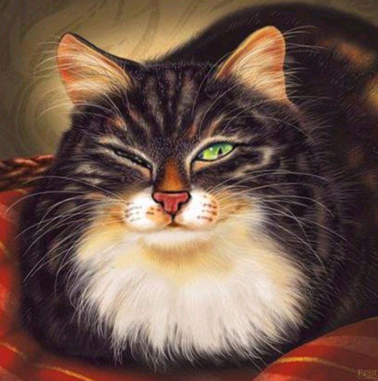 Довольный кот картина