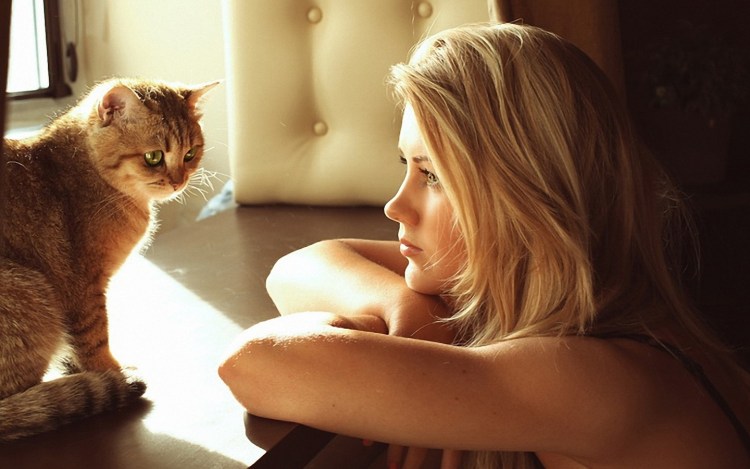 Молочный шаг