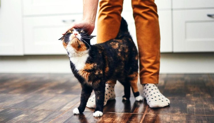 Способы разбудить человека