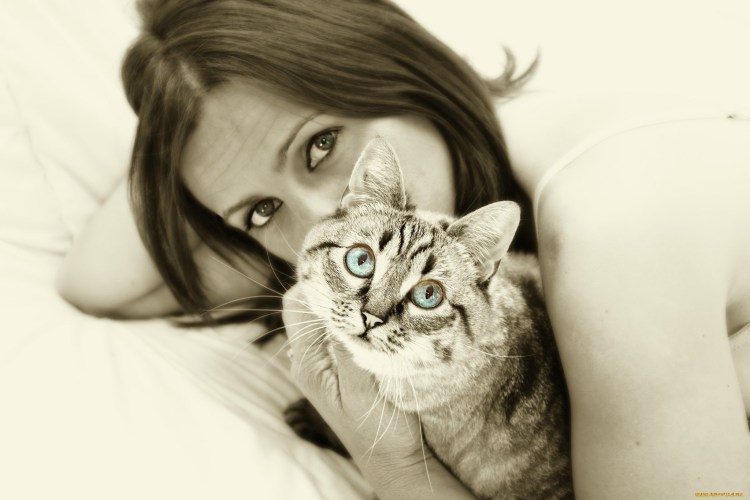 Кот мнет лапами