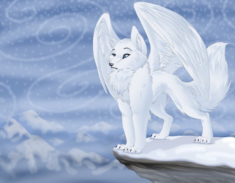 Собаки ангелы на земле