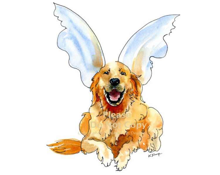 Аргентинский мастиф