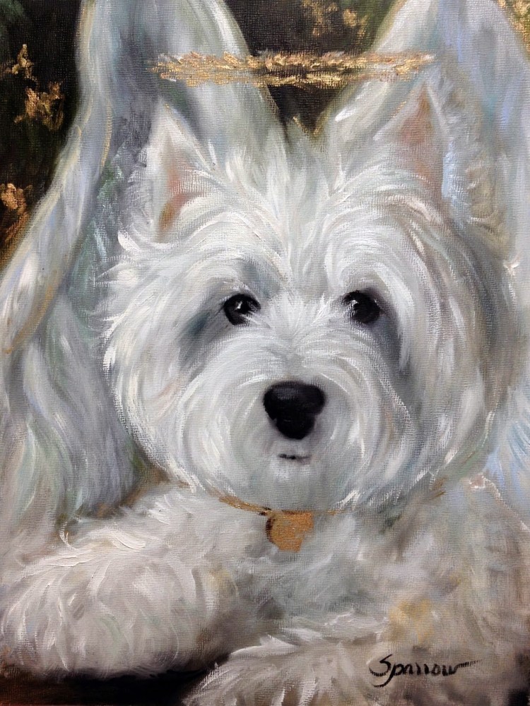 Порода собак ангел хранитель