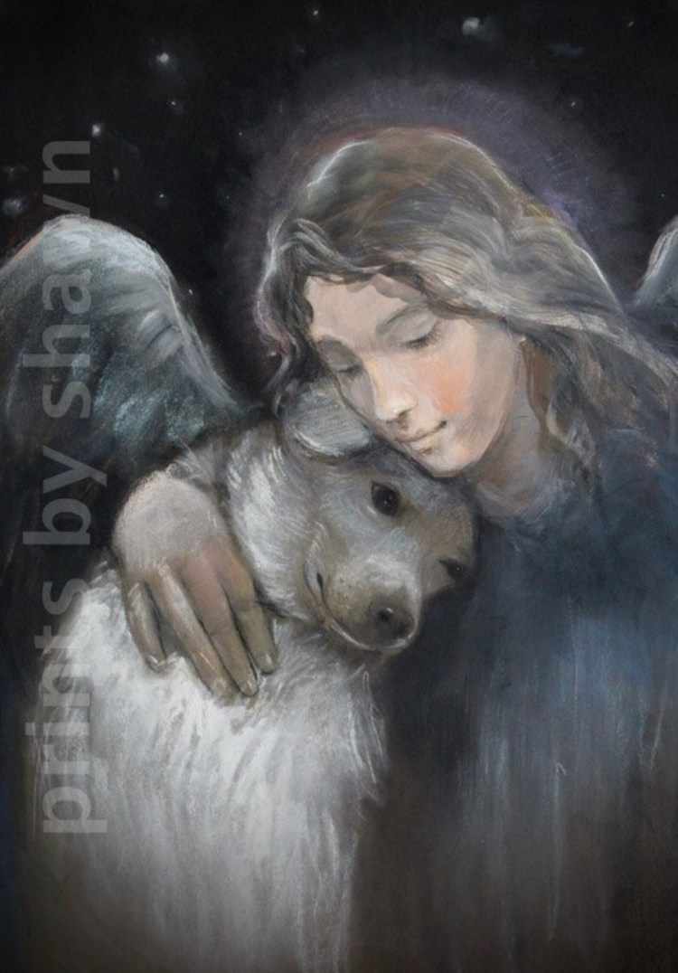 Собака с крылышками