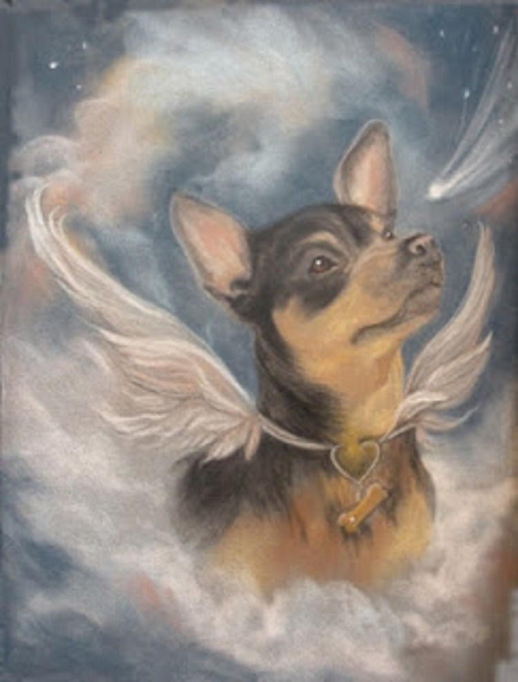 Бишон фризе