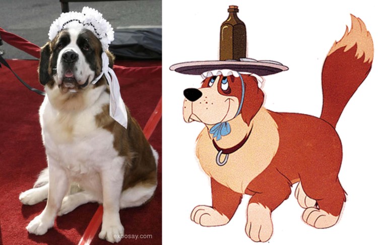 Социальная собака