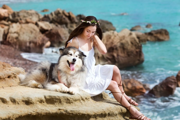 Нэна собака Питер Пэн