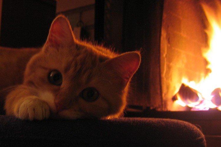 Елка камин плед