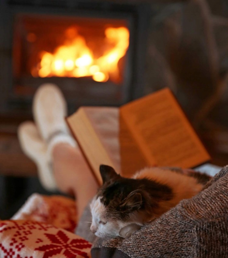 Огонь в русской печи