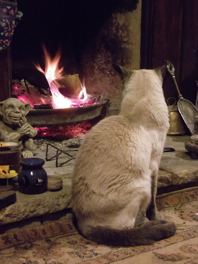 Девушка с котом у камина