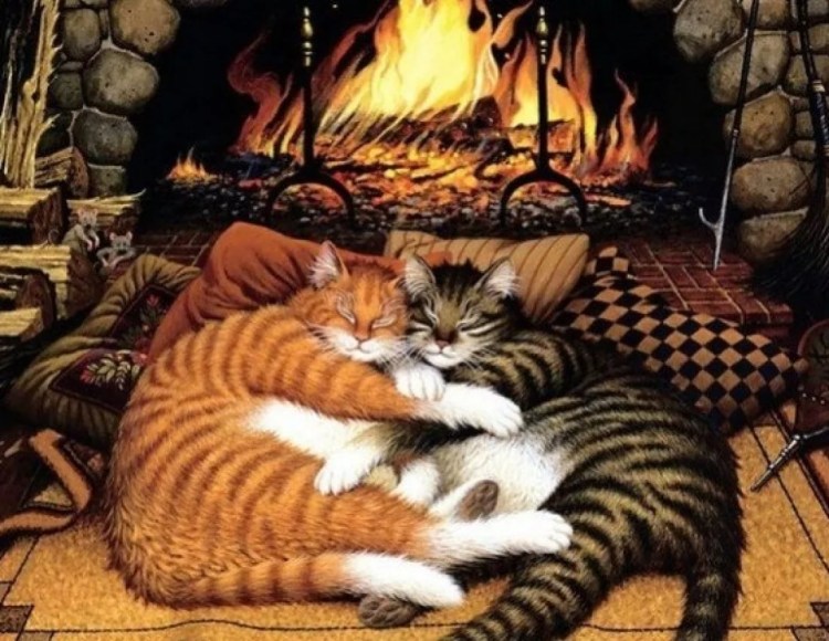 Вечер у камина