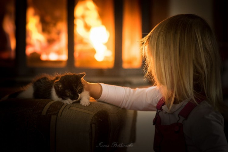 Кот у камина