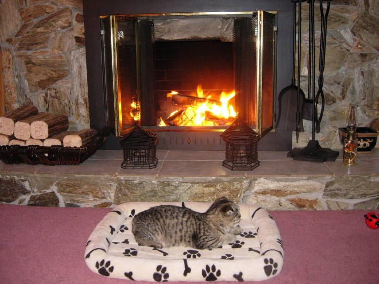 Кошка на печи