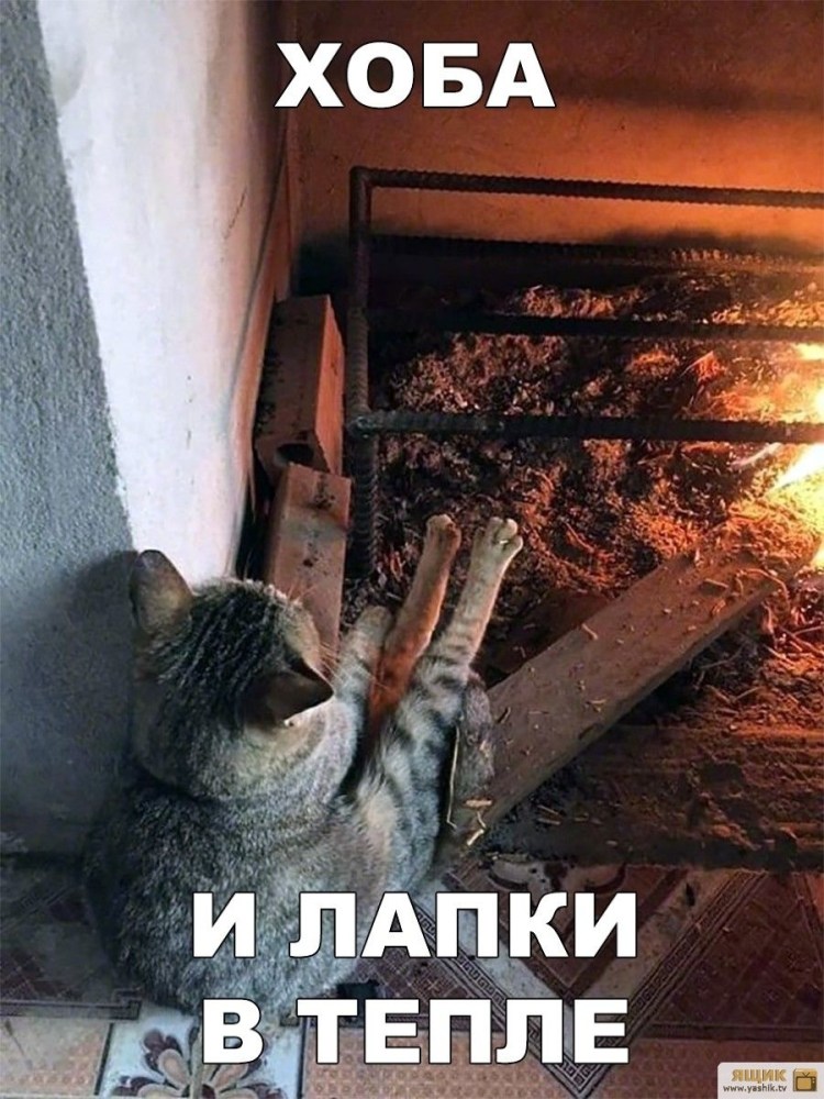 Кошка у камина