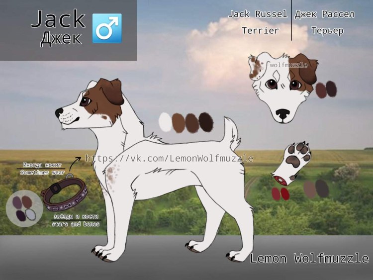 Хвост Джек Рассел терьера стандарт