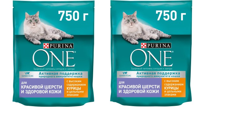 Проплан для котят сухой с индейкой