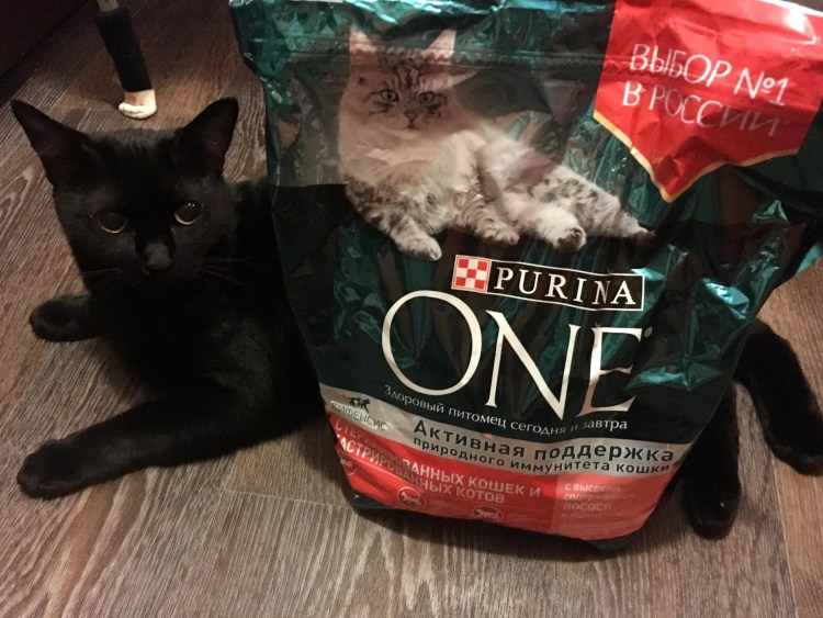 Рекламный баннер Проплан