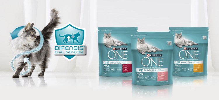 Пурина Ван для котят