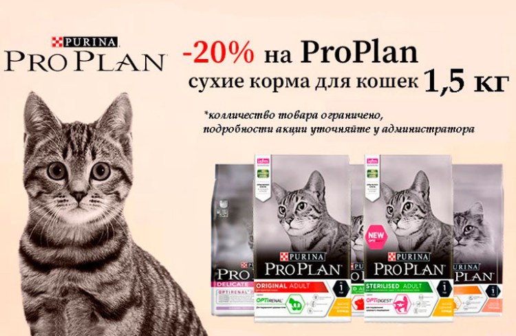 Пурина Ван корм сух для котят курица цел злаки 750г