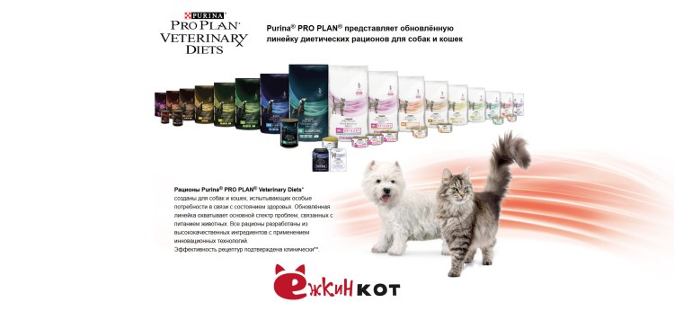 Порода кошки в рекламе Пурина