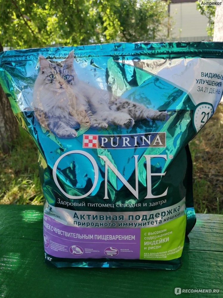 Purina one для кошек с чувствительным пищеварением