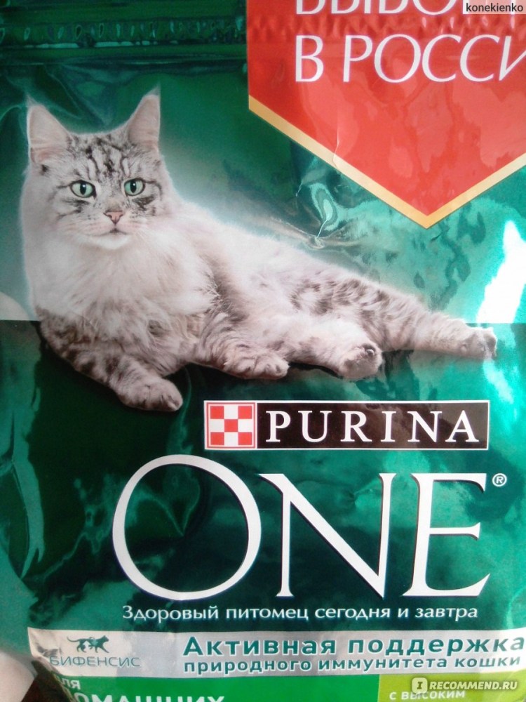 Корма для сиамских котов