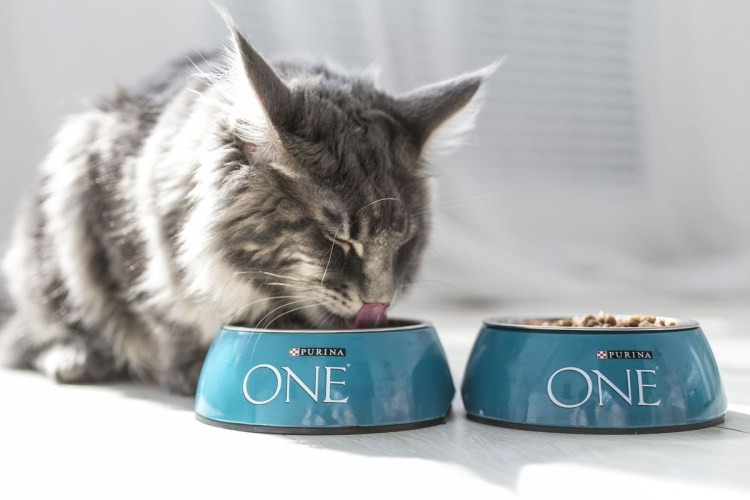 Корм для щенков Purina Pro Plan OPTISTART курица 7 кг