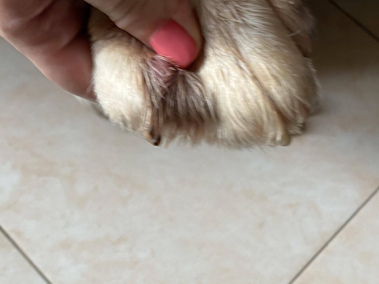 Прожилки крови в Кале у грудничка