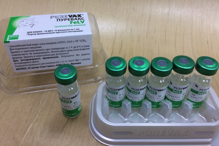 Лейкемия анализы