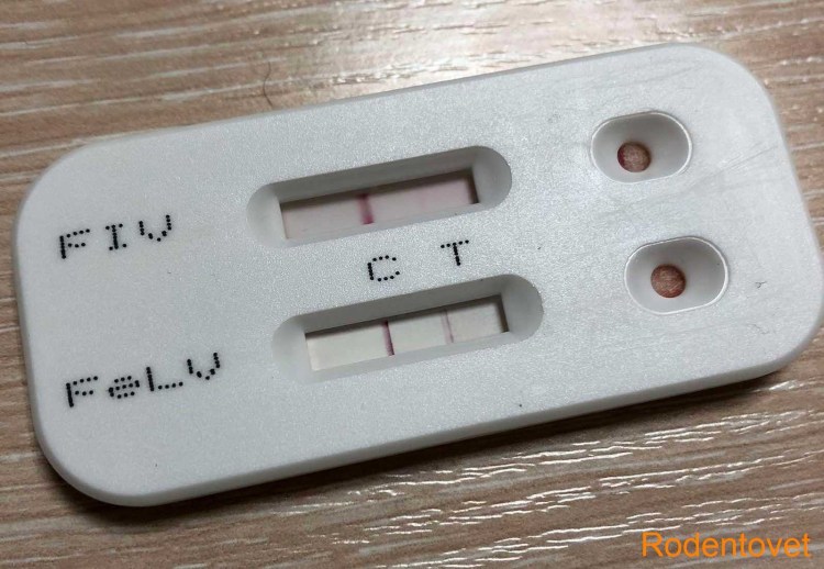 Профилактика анкилостомоза