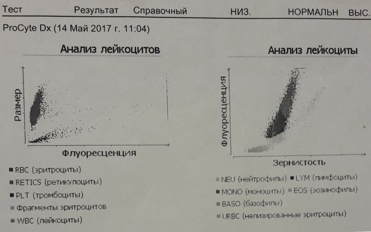 Вакцина лейкемия у кошек