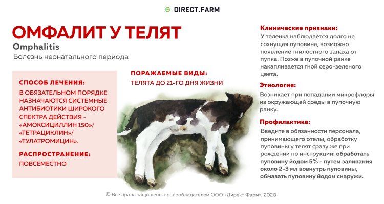 Лейкоз у кошек анализ крови показатели