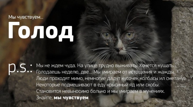 Смерть не оправдание