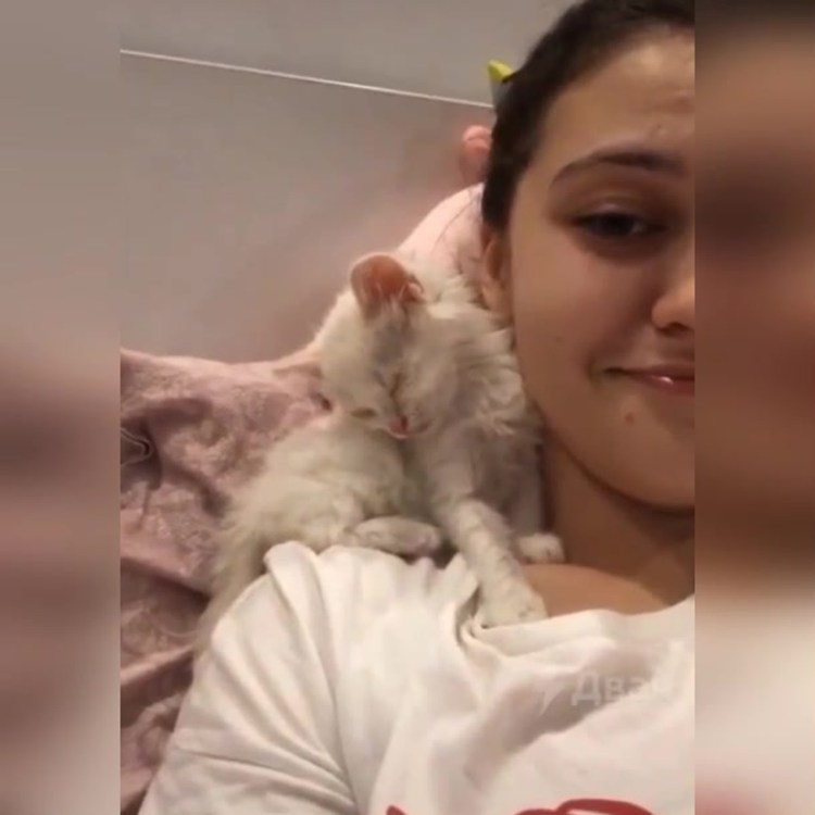 Бездомные котята до и после